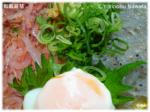 駿河湾産生桜えび生しらす丼／写真転載厳禁・プロ写真家なわたよりのぶ