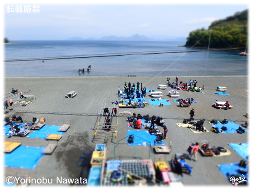 大瀬崎浜ダイビング・ミニュチュア／写真転載厳禁・プロ写真家なわたよりのぶ