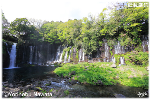 白糸の滝／写真転載厳禁・プロ写真家なわたよりのぶ
