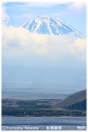 本栖湖からの富士山／写真転載厳禁・プロ写真家なわたよりのぶ