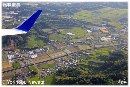 静岡のお茶畑（航空写真）／転載厳禁・プロ写真家なわたよりのぶ