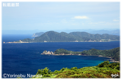せんじょうじきから青海島写真／転載厳禁・プロ写真家なわたよりのぶ