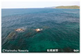 角島大橋中腹北側写真ミニ