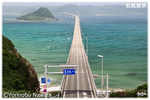 角島大橋と鳩島写真／転載厳禁・プロ写真家なわたよりのぶ