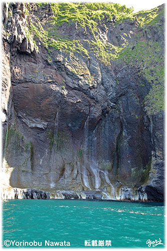 知床・男の泪・転載厳禁・プロ写真家なわたよりのぶ