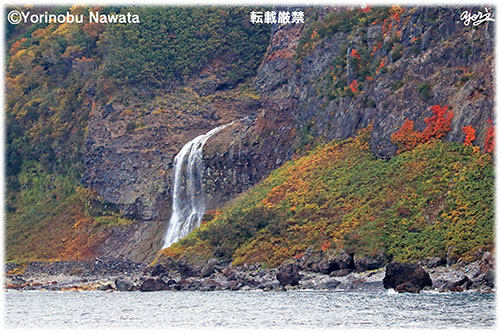 カムイワッカの滝・紅葉・転載厳禁・プロ写真家なわたよりのぶ