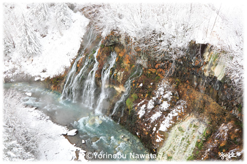 初冬の白ひげの滝／写真転載厳禁・プロ写真家なわたよりのぶ