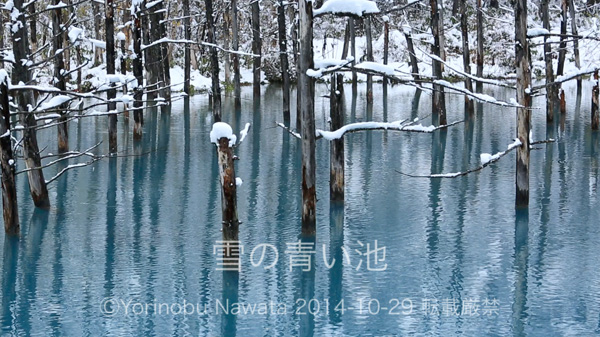 『雪の青い池（ビデオ映像）』写真転載厳禁・プロ写真家なわたよりのぶ