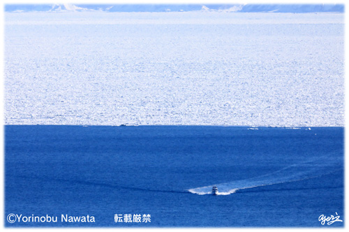 羅臼港へ帰港する流氷クルーズ船／写真転載厳禁・プロ写真家なわたよりのぶ