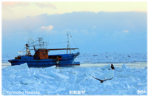 流氷の海へ繰り出す漁船／写真転載厳禁・プロ写真家なわたよりのぶ