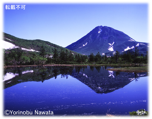 羅臼湖・三の沼写真／転載厳禁・プロ写真家なわたよりのぶ