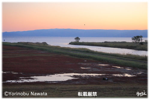 朝映えの能取湖・卯原内／転載厳禁・プロ写真家なわたよりのぶ