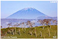 オロフレ峠の羊蹄山ミニ写真