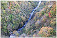 新登別大橋紅葉ミニ写真