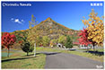 五天山公園・紅葉2021ミニ写真