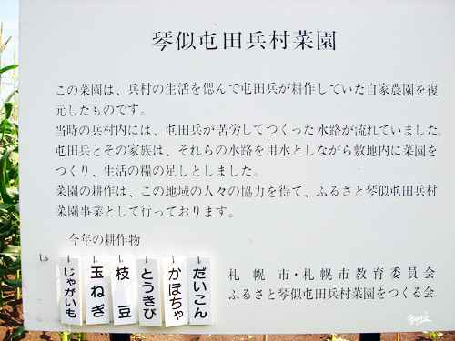 琴似屯田兵村兵屋菜園説明・転載厳禁・プロ写真家なわたよりのぶ