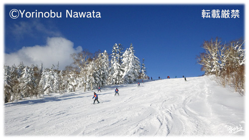 札幌国際スキー場ファミリーコース／写真転載厳禁・プロ写真家なわたよりのぶ