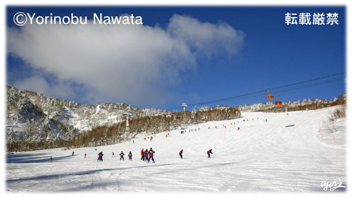 札幌国際スキー場・ファミリーコース／写真転載厳禁・プロ写真家なわたよりのぶ