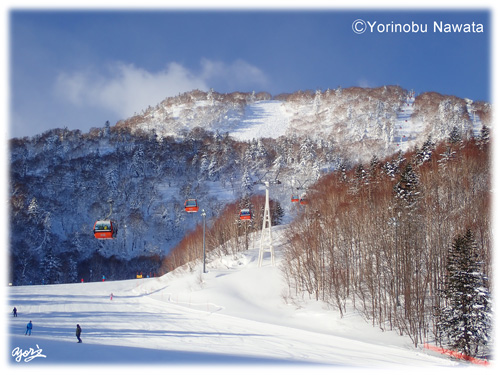 札幌国際スキー場スカイキャビン／写真転載厳禁・プロ写真家なわたよりのぶ