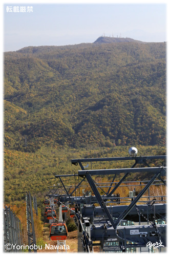 『紅葉ゴンドラと手稲山』写真転載厳禁・プロ写真家なわたよりのぶ