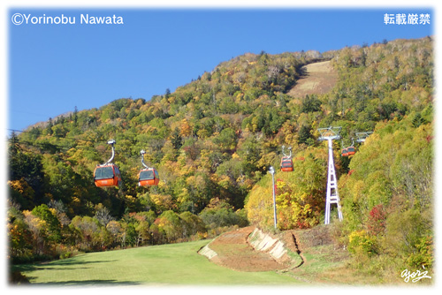 「紅葉ゴンドラ・イメージ」見本写真・転載厳禁・プロ写真家なわたよりのぶ