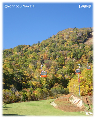 「紅葉ゴンドラ・イメージⅡ」見本写真・転載厳禁・プロ写真家なわたよりのぶ