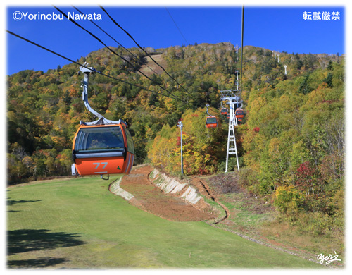 『紅葉ゴンドラ始発』写真転載厳禁・プロ写真家なわたよりのぶ