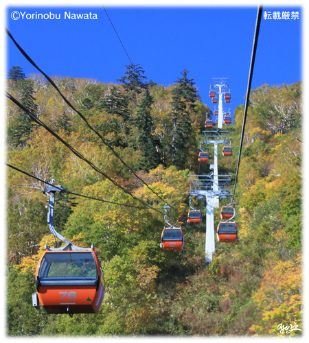 『紅葉ゴンドラ始発Ⅲ』写真転載厳禁・プロ写真家なわたよりのぶ