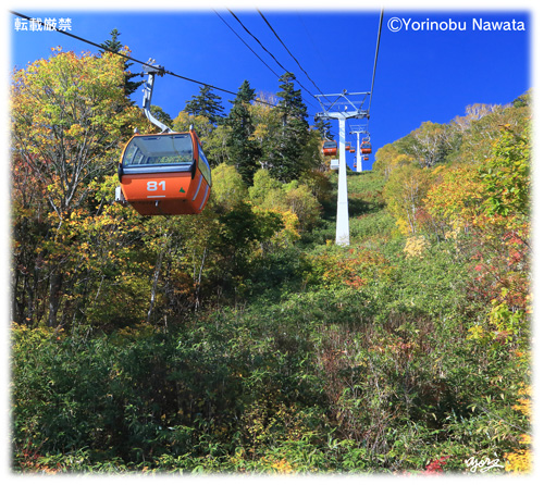 『紅葉ゴンドラ始発Ⅳ』写真転載厳禁・プロ写真家なわたよりのぶ