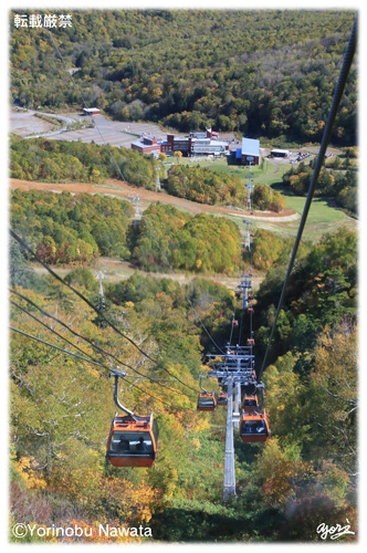 『紅葉ゴンドラ・センター』写真転載厳禁・プロ写真家なわたよりのぶ