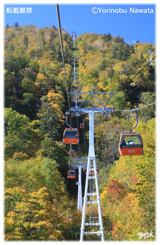 『紅葉ゴンドラ・イメージⅢ』写真転載厳禁・プロ写真家なわたよりのぶ