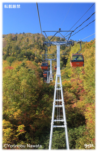 『紅葉ゴンドラ・イメージⅣ』写真転載厳禁・プロ写真家なわたよりのぶ