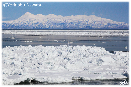 野付水道の流氷と知床連山／写真転載厳禁・プロ写真家なわたよりのぶ