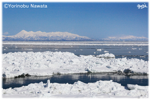 野付流氷と知床連山／写真転載厳禁・プロ写真家なわたよりのぶ