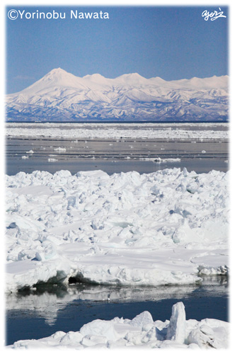 流氷と羅臼岳／写真転載厳禁・プロ写真家なわたよりのぶ