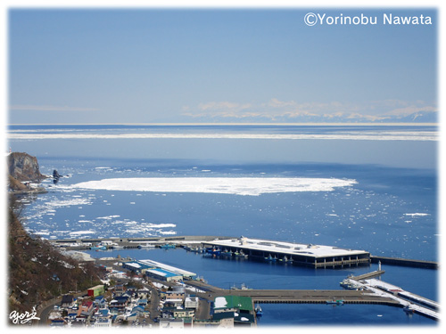 羅臼港と流氷の根室海峡／写真転載厳禁・プロ写真家なわたよりのぶ