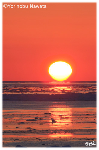 野付水道の流氷日の出／写真転載厳禁・プロ写真家なわたよりのぶ