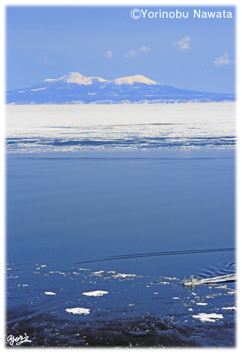 流氷の根室海峡を航行する巡視船／写真転載厳禁・プロ写真家なわたよりのぶ