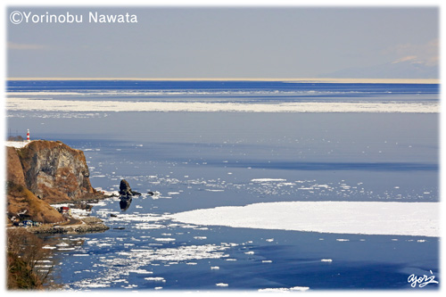羅臼灯台と流氷の根室海峡／写真転載厳禁・プロ写真家なわたよりのぶ