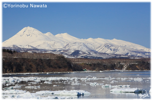 根室海峡の流氷と知床連山／写真転載厳禁・プロ写真家なわたよりのぶ