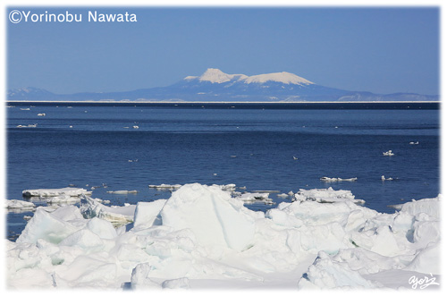流氷と国後島羅臼山／写真転載厳禁・プロ写真家なわたよりのぶ