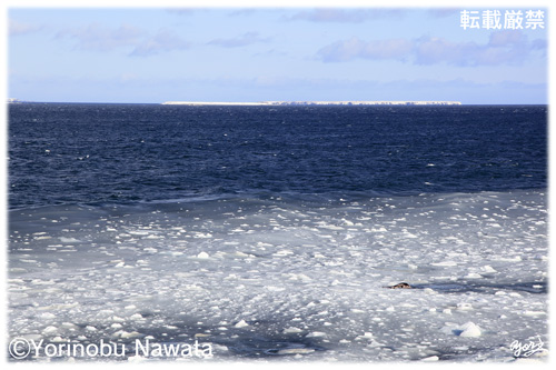 萌茂尻島と秋勇留島／写真転載厳禁・プロ写真家なわたよりのぶ