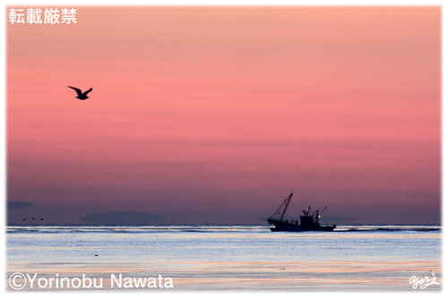 国境の海／写真転載厳禁・プロ写真家なわたよりのぶ