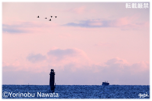 朝映えの貝殻島／写真転載厳禁・プロ写真家なわたよりのぶ