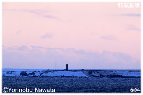 萌茂尻島施設／写真転載厳禁・プロ写真家なわたよりのぶ