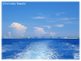 海からの野甫大橋ミニ写真