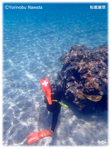 『バブルリング発射』転載厳禁・プロ写真家縄田頼信 バブルリング発射/写真転載厳禁・プロ写真家なわたよりのぶ