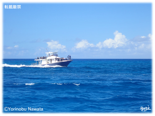 『ダイビング・ツアーボート』転載厳禁・プロ写真家縄田頼信 ダイビング・ツアーボート/写真転載厳禁・プロ写真家なわたよりのぶ