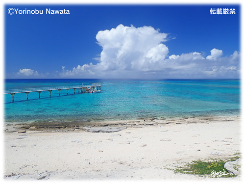 「ナガンヌ島の桟橋」写真/転載厳禁・プロ写真家縄田頼信 「ナガンヌ島の桟橋」写真・転載厳禁・プロ写真家なわたよりのぶ
