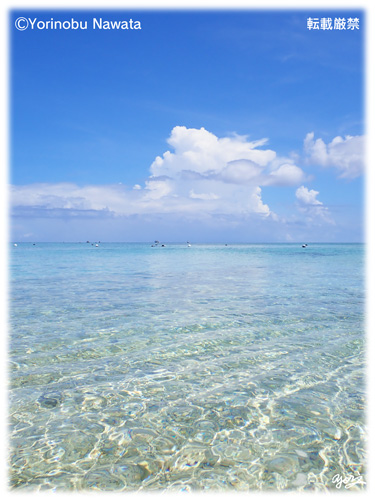 『ナガンヌ島の透明海イメージ』転載厳禁・プロ写真家縄田頼信 ナガンヌ島の透明海イメージ/写真転載厳禁・プロ写真家なわたよりのぶ